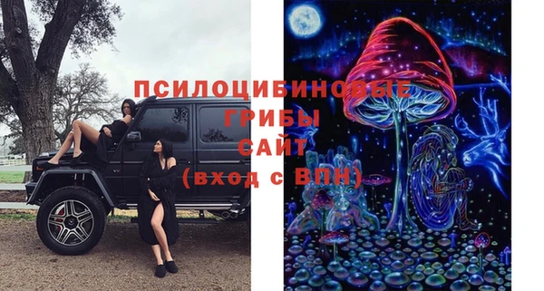 шишки Абдулино