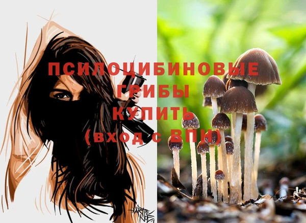 шишки Абдулино