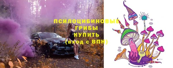 apvp Покровск