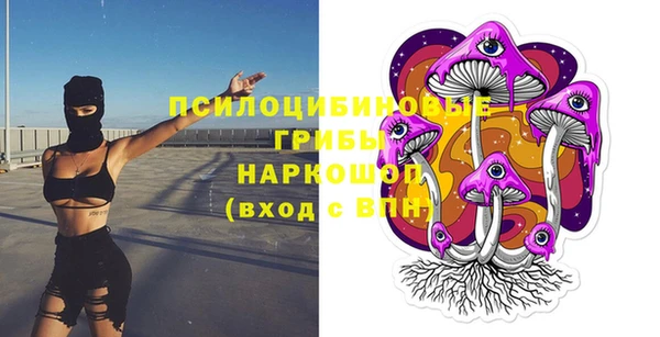apvp Покровск